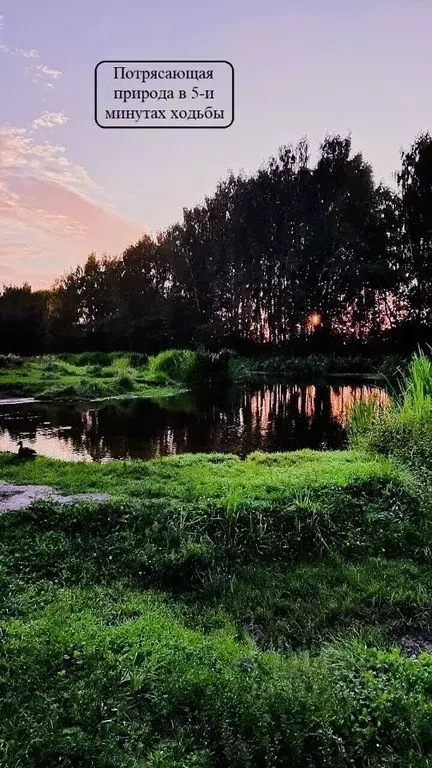 Участок в Московская область, Щелково городской округ, Загорянский пгт ... - Фото 1