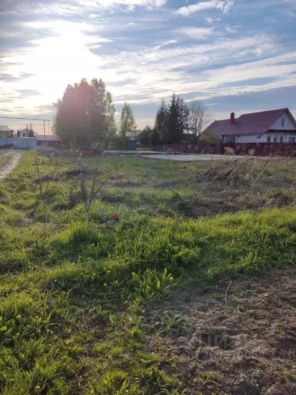 Участок в Нижегородская область, Бор городской округ, д. Каликино ул. ... - Фото 1