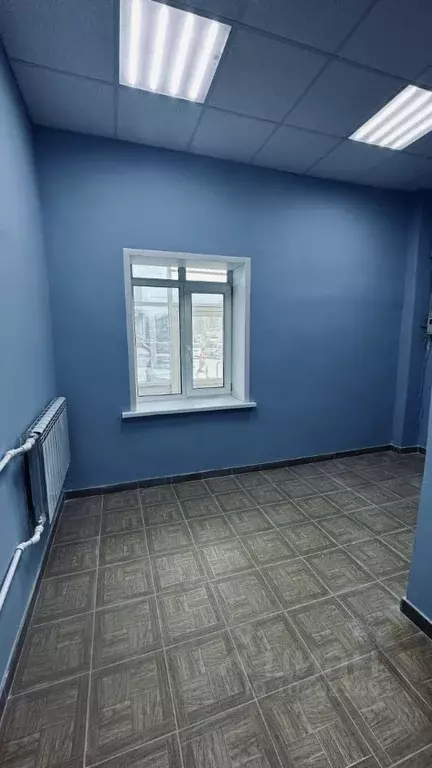 Офис в Воронежская область, Хохольский рп  (17 м) - Фото 1