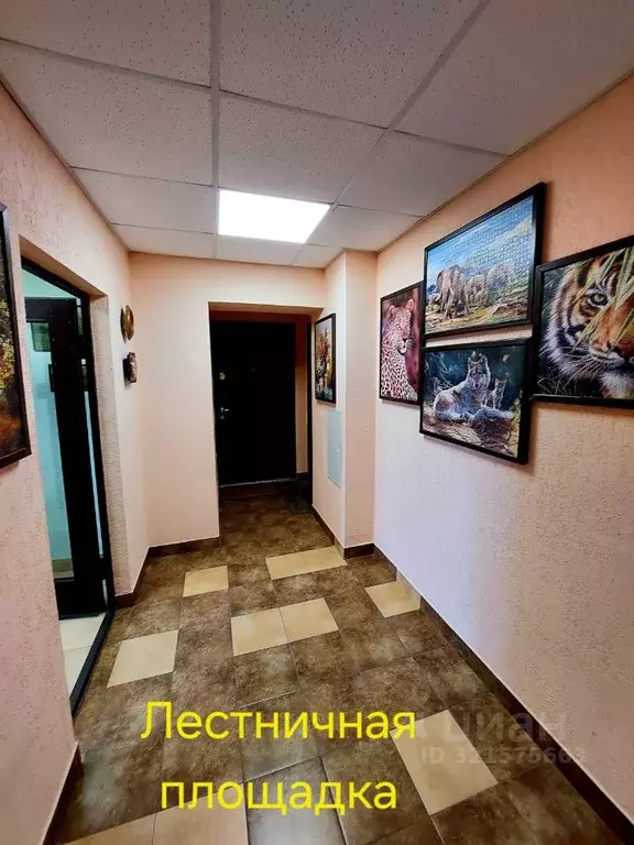 1-к кв. Саратовская область, Саратов ул. 2-я Садовая, 50 (45.0 м) - Фото 2