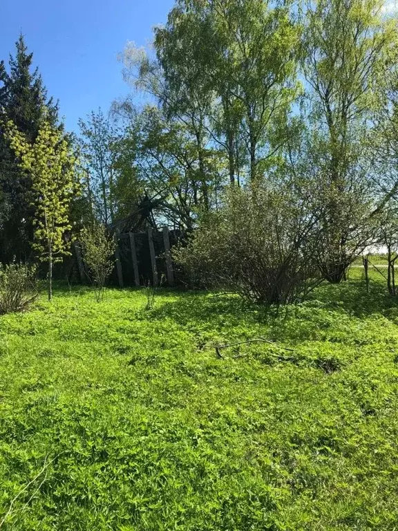 Участок в Московская область, Волоколамский муниципальный округ, д. ... - Фото 2