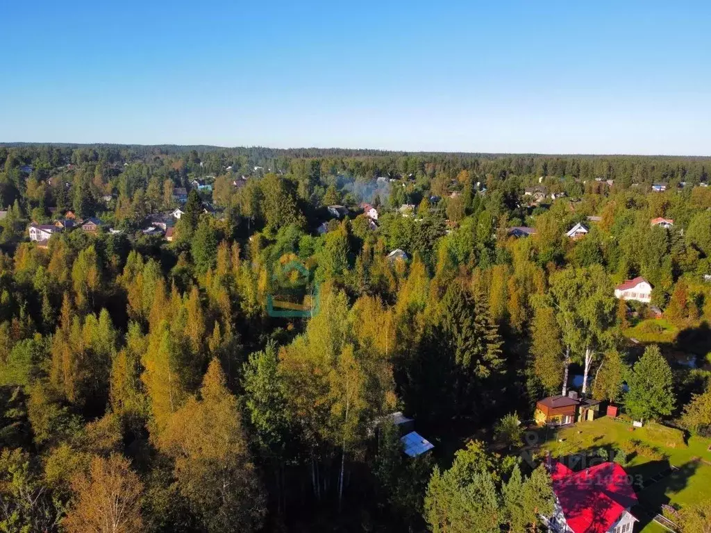 Участок в Ленинградская область, Всеволожский район, Куйвозовское ... - Фото 0