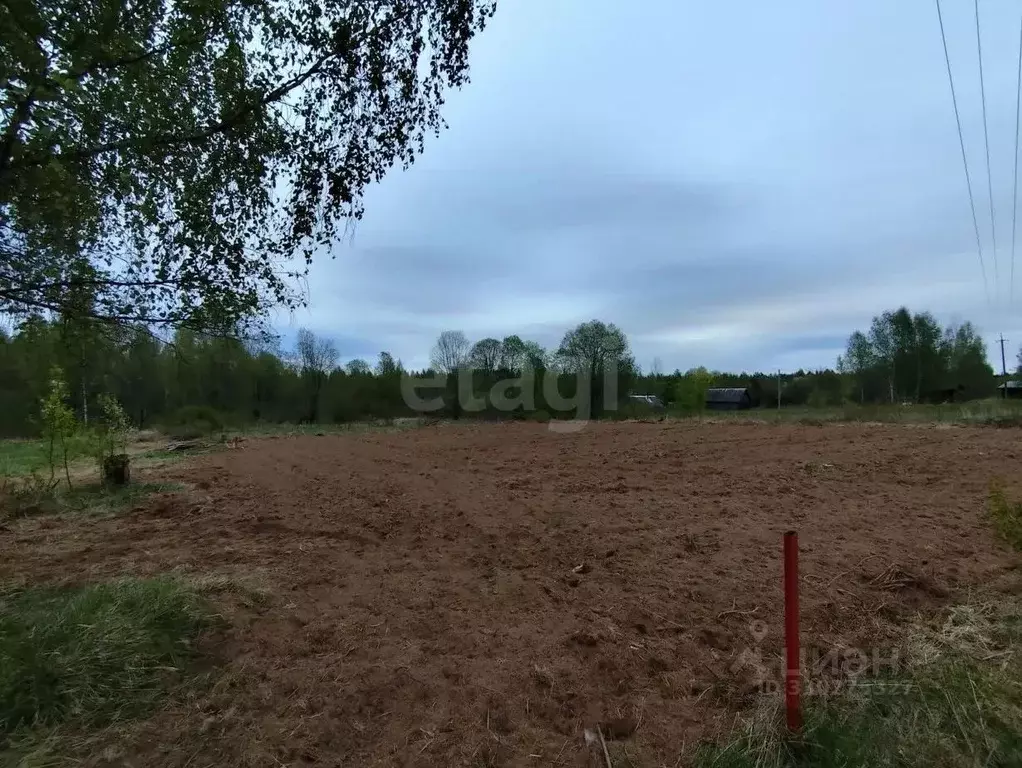 Участок в Ленинградская область, Киришский район, Будогощское ... - Фото 1