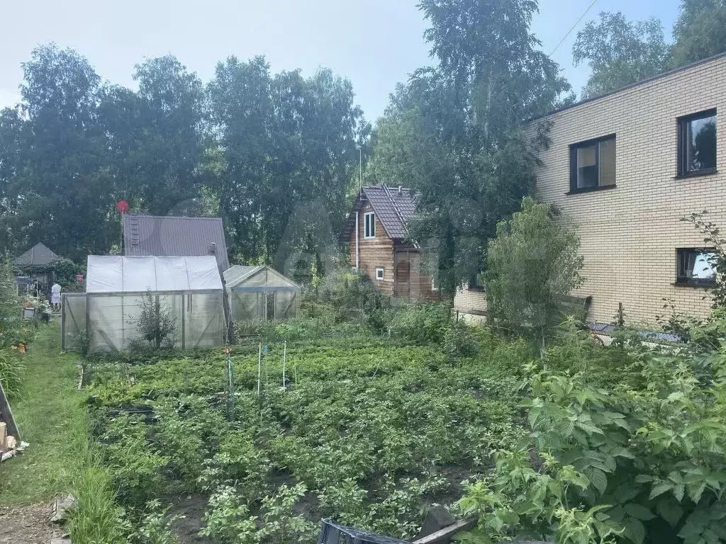 Дача 28,7 м на участке 7 сот. - Фото 1