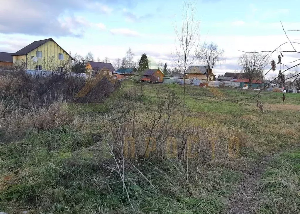 Участок в Московская область, Богородский городской округ, д. Ивашево ... - Фото 2