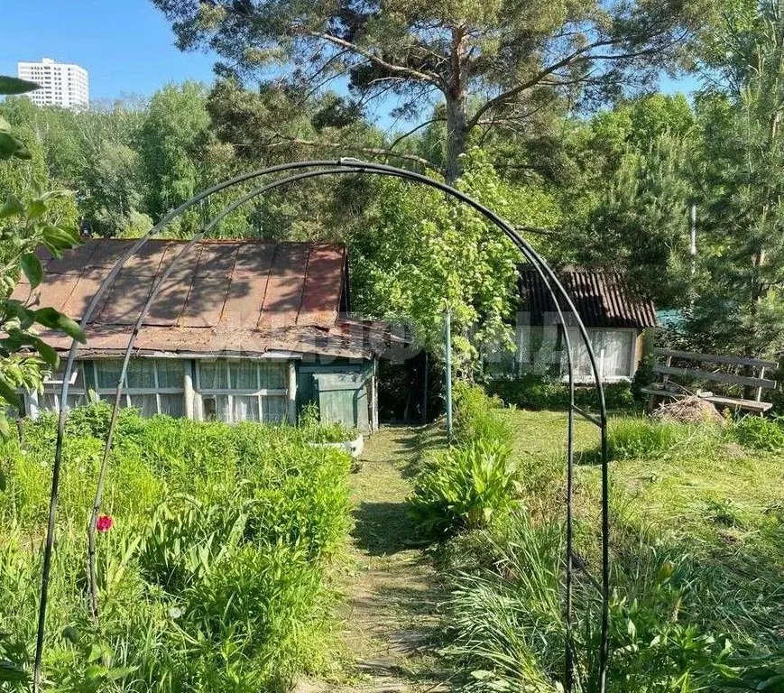 Дом в Новосибирская область, Новосибирск Культура СНТ,  (24 м) - Фото 0