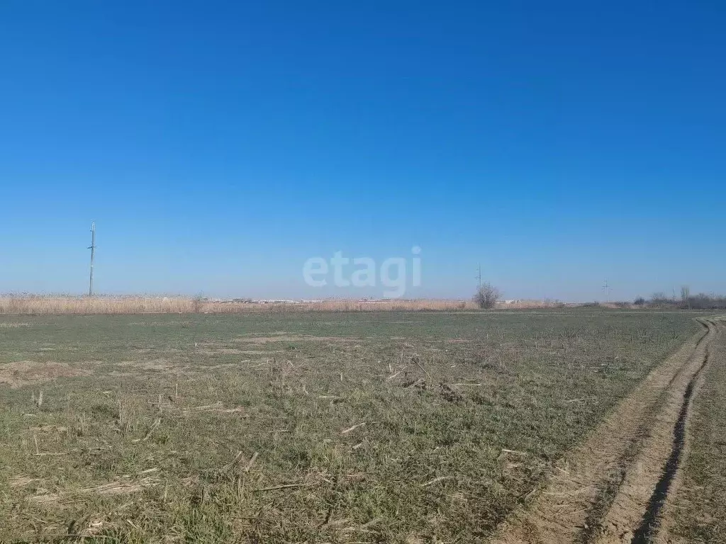 Участок в Адыгея, Майкопский район, Даховская ст-ца  (305.0 сот.) - Фото 1