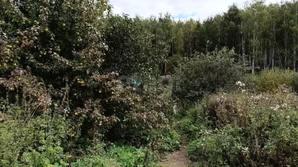 Участок в Свердловская область, Екатеринбург Шинник-2 СНТ,  (4.76 ... - Фото 2