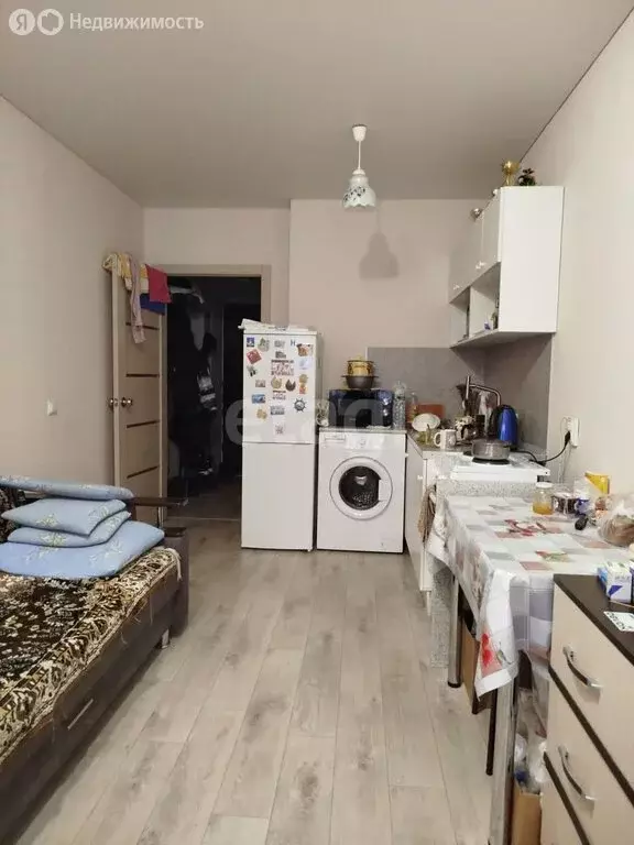 Квартира-студия: село Михайловка, Сливовая улица, 8 (24 м) - Фото 0