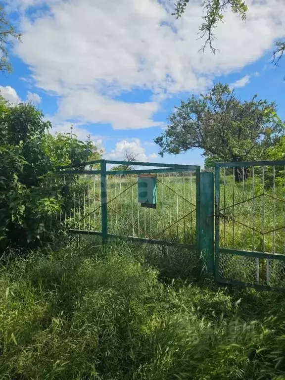 Участок в Краснодарский край, Анапа муниципальный округ, Красный ... - Фото 1
