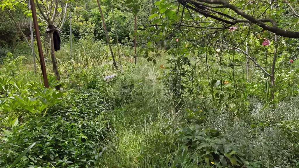 Участок в Ставропольский край, Ставрополь Железнодорожник СТ,  (5.4 ... - Фото 1