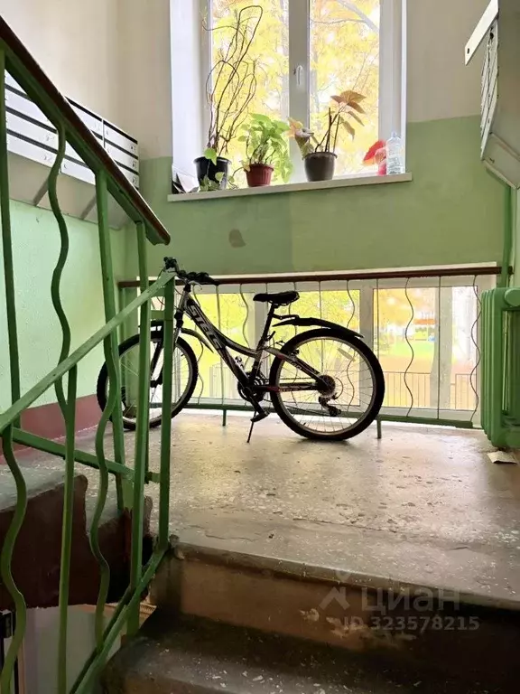 2-к кв. Санкт-Петербург ул. Васи Алексеева, 24 (44.7 м) - Фото 2