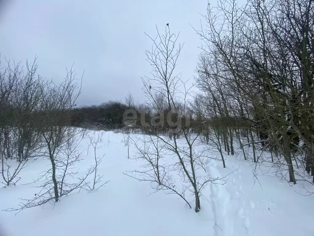Участок в Воронежская область, с. Новая Усмань ул. Октябрьская, 50А ... - Фото 1