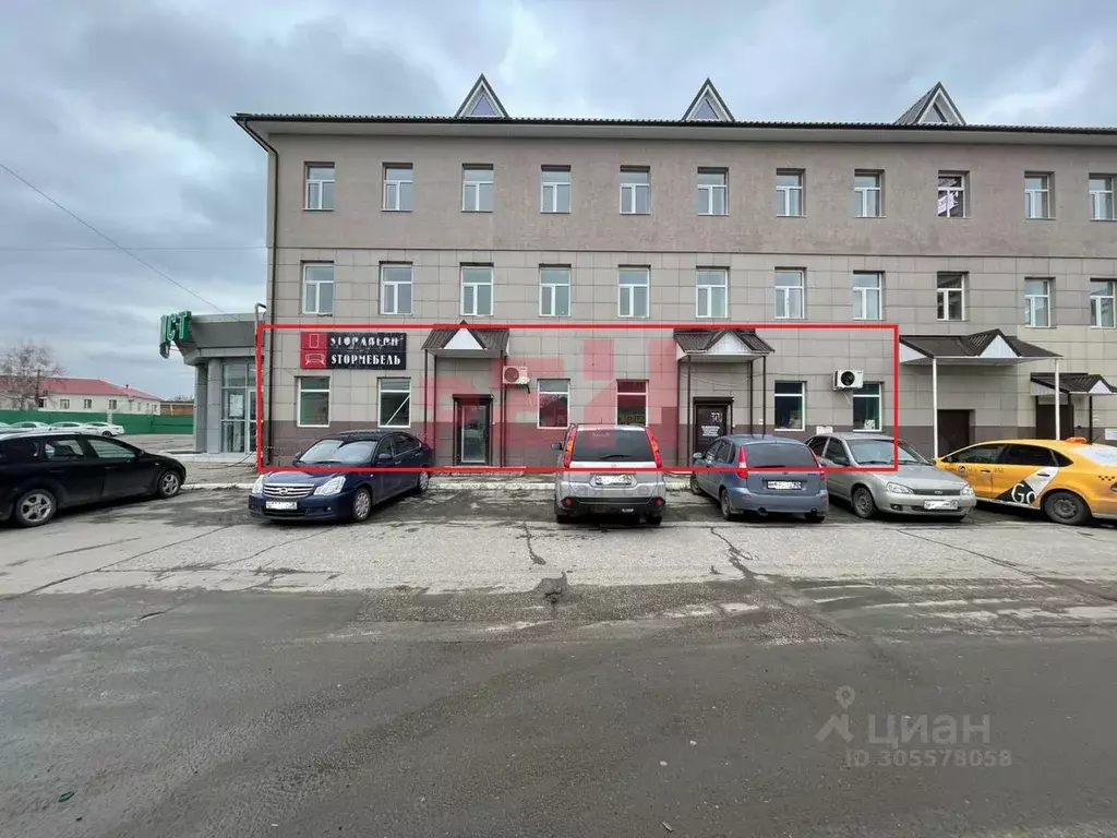 Торговая площадь в Пензенская область, Пенза ул. Суворова (146 м) - Фото 1