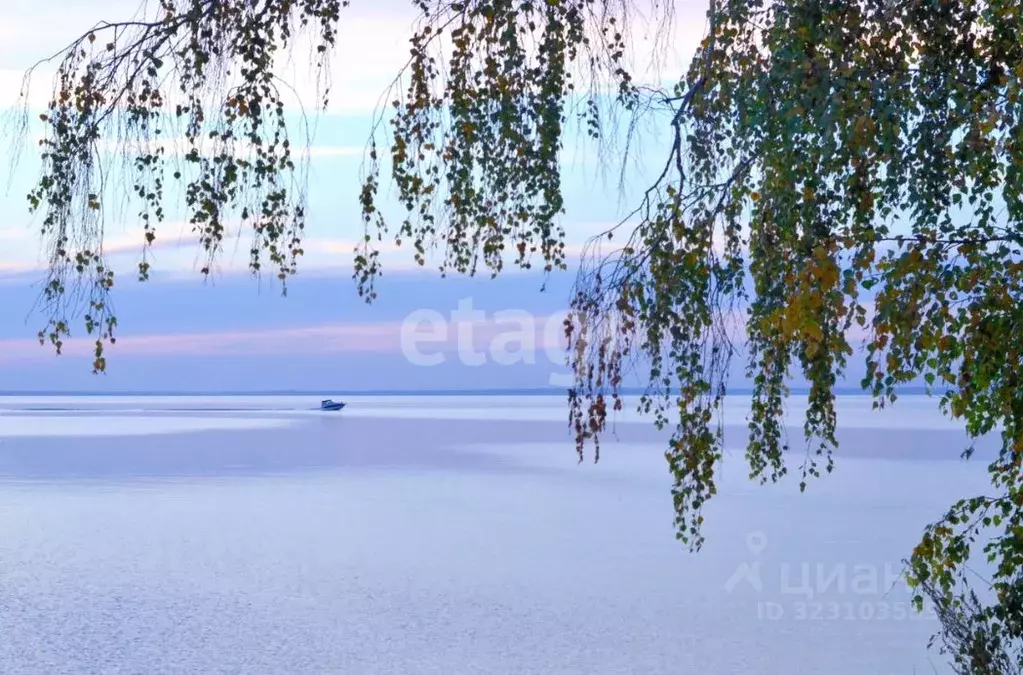 Участок в Новосибирская область, Искитимский район, Совхозный ... - Фото 1