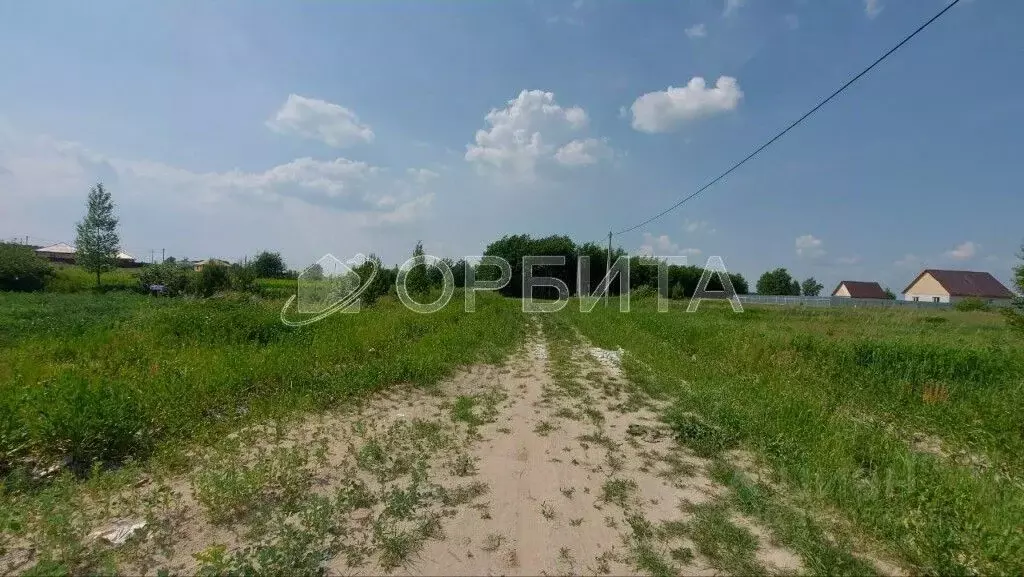 Участок в Тюменская область, Тюменский муниципальный округ, с. Борки ... - Фото 2