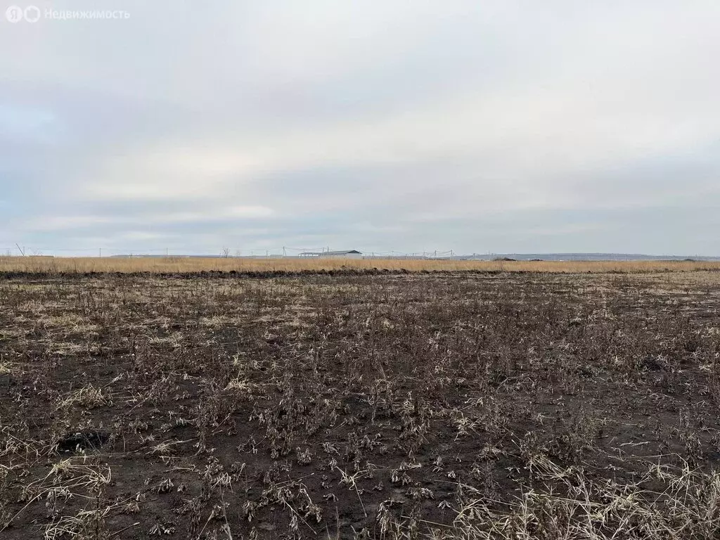 Участок в село Засечное, Центральная улица (91 м) - Фото 1