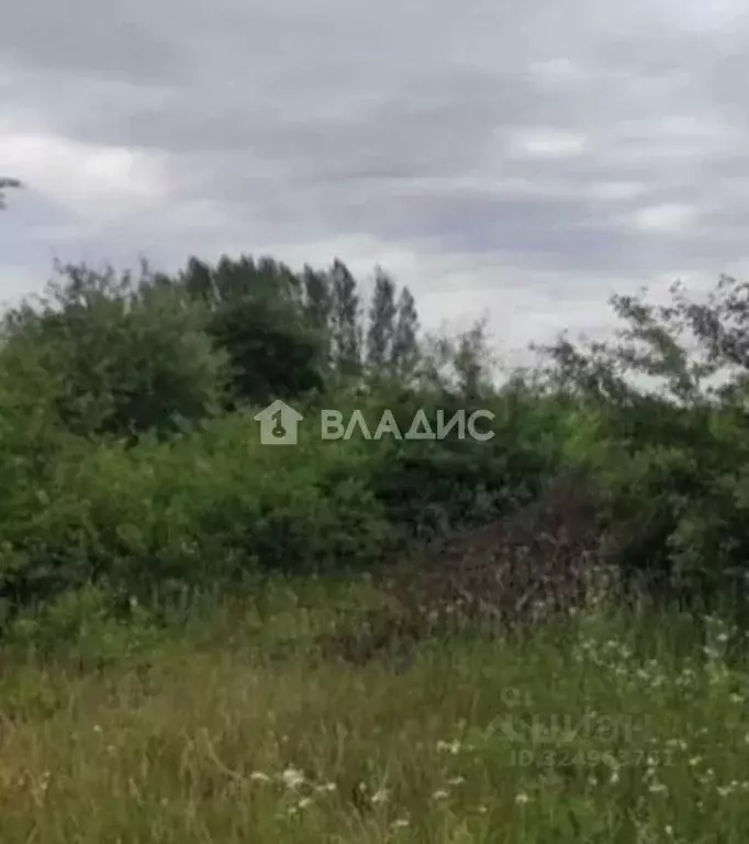 Участок в Белгородская область, Строитель Яковлевский городской округ, ... - Фото 1