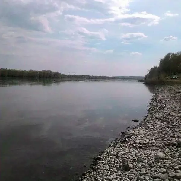 Участок в Кемеровская область, Кемеровский муниципальный округ, д. ... - Фото 1
