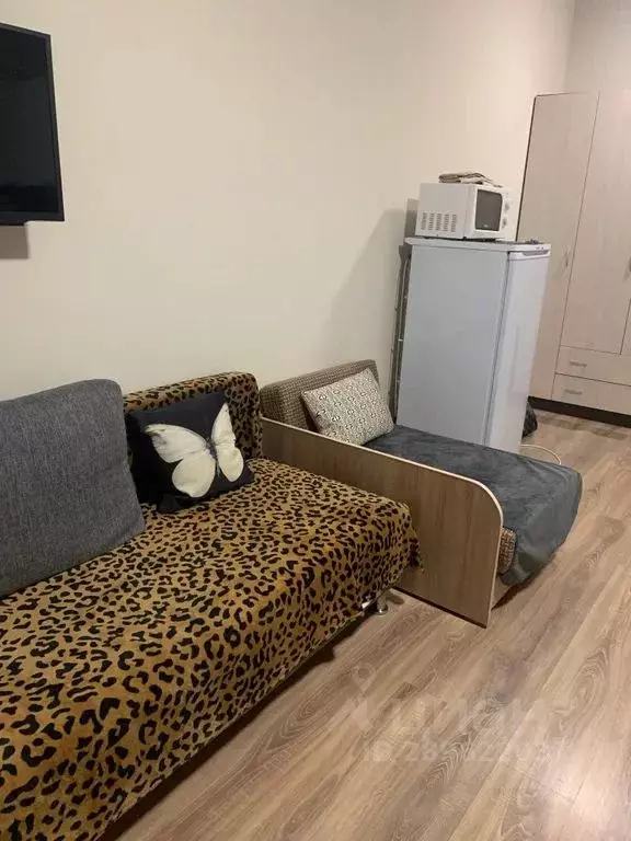 Студия Краснодарский край, Сочи ул. Ленина, 290/6 (27.0 м) - Фото 1
