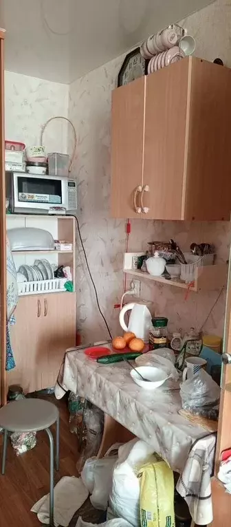 Комната 17 м в 9-к., 6/9 эт. - Фото 1