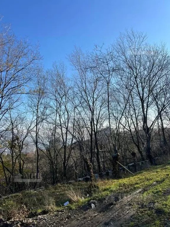 Участок в Крым, Ялта городской округ, Виноградное пгт ул. Магоби-2 ... - Фото 1