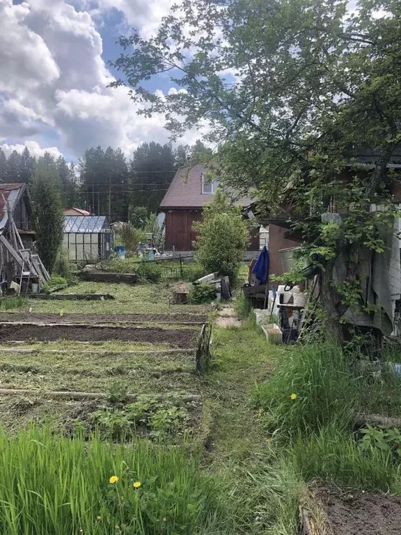 Участок в Свердловская область, Невьянский муниципальный округ, ... - Фото 1
