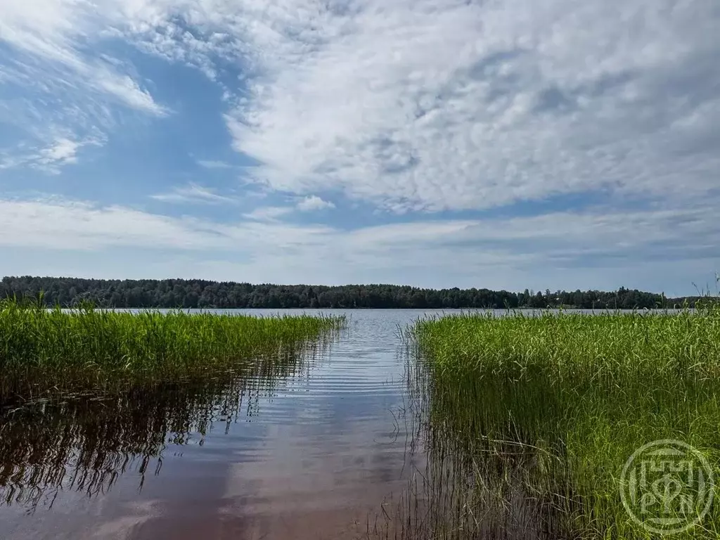 Участок в Ленинградская область, Выборгский район, Гончаровское с/пос, ... - Фото 1