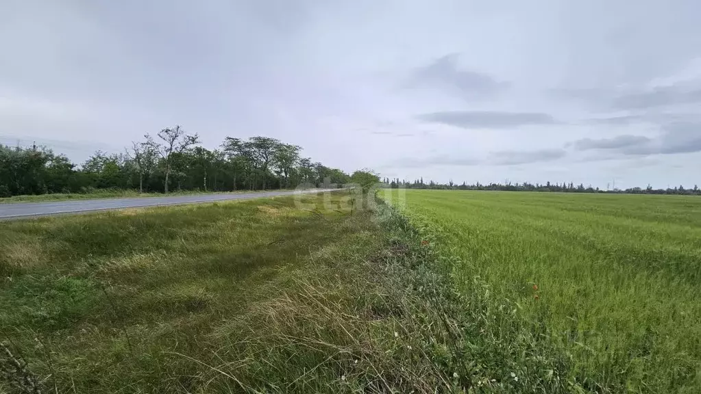Участок в Крым, Советский район, с. Чапаевка ул. Мира (310.0 сот.) - Фото 1