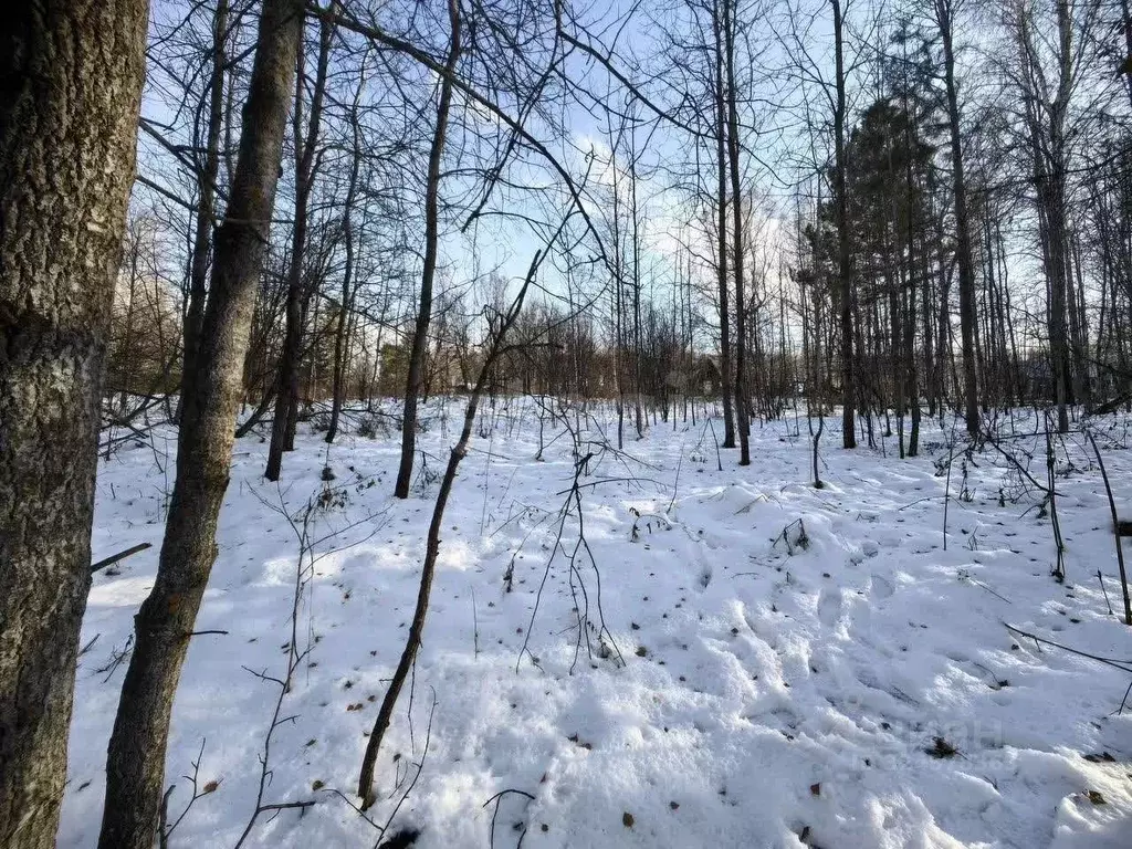 Участок в Новосибирская область, Искитимский район, Морозовский ... - Фото 1