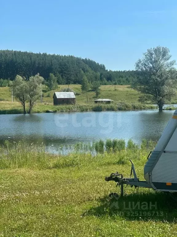 Участок в Нижегородская область, Павловский район, с. Большое Мартово ... - Фото 2