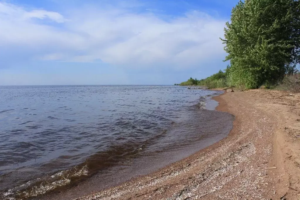 Участок в Псковская область, Гдов городское поселение, д. Колоколово  ... - Фото 2