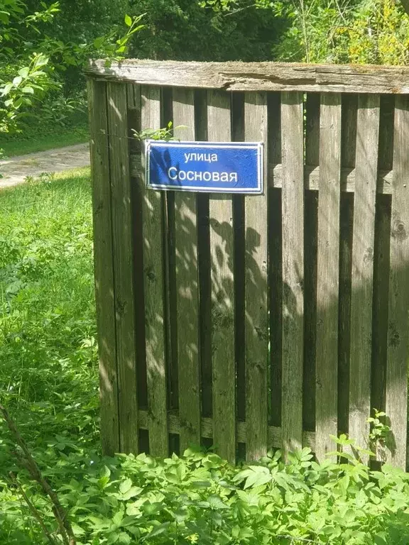 Участок в Московская область, Одинцовский городской округ, д. Крутицы, ... - Фото 1