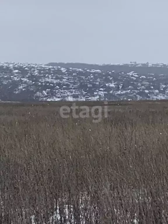 Участок в Белгородская область, Белгородский район, Головинское с/пос, ... - Фото 1