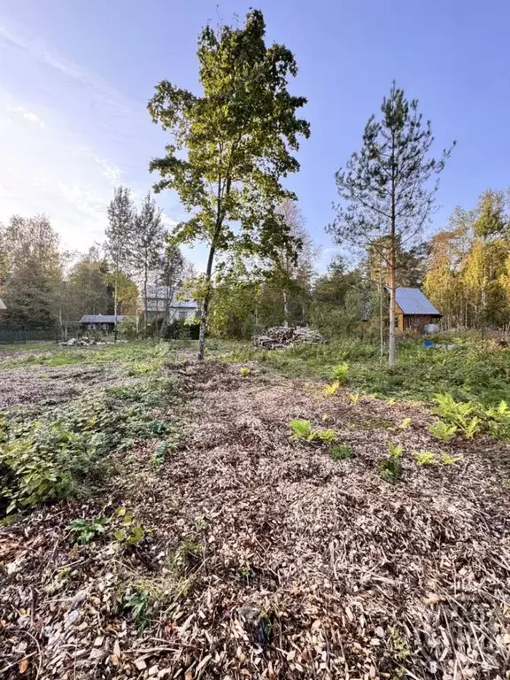 Участок в Ленинградская область, Выборгский район, Приморское ... - Фото 1