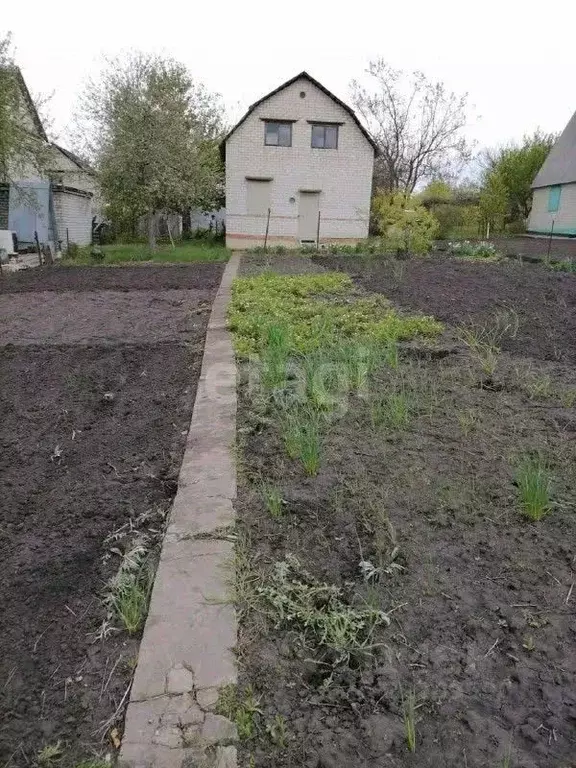 Дом в Белгородская область, Губкинский городской округ, с. Петровки  ... - Фото 0