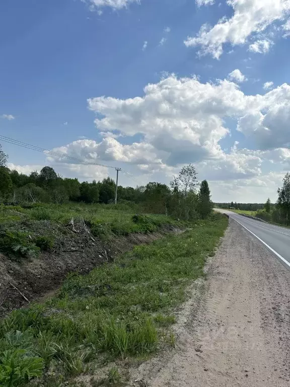 Участок в Ленинградская область, Кировский район, Мгинское городское ... - Фото 1