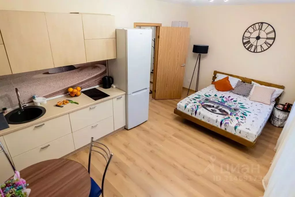 Студия Санкт-Петербург пос. Песочный, Садовая ул., 90 (28.0 м) - Фото 1
