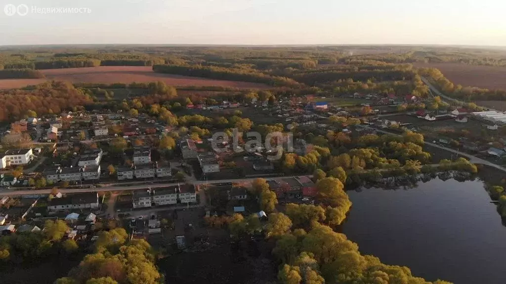 Дом в Ферзиковский район, Бебелевский сельсовет, деревня Болдасовка ... - Фото 0