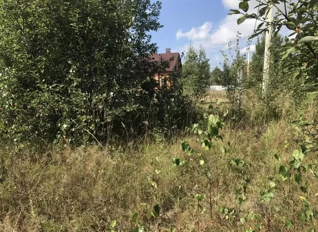 Участок в Калужская область, Дзержинский муниципальный округ, Совхоз ... - Фото 2