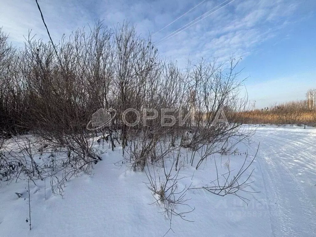 Участок в Тюменская область, Тюменский муниципальный округ, с. Кулига ... - Фото 1