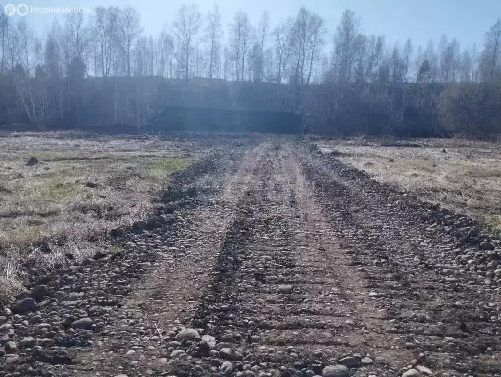 Участок в село Майма, улица Механизаторов, 22А (8.5 м) - Фото 1