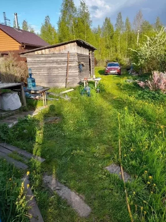 Участок в Санкт-Петербург, Санкт-Петербург, Павловск Павловское-2 СНТ, ... - Фото 1