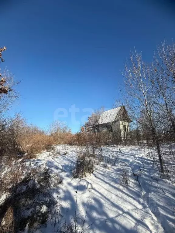 Участок в Амурская область, Благовещенск Новотроицкое ш. (8.0 сот.) - Фото 1