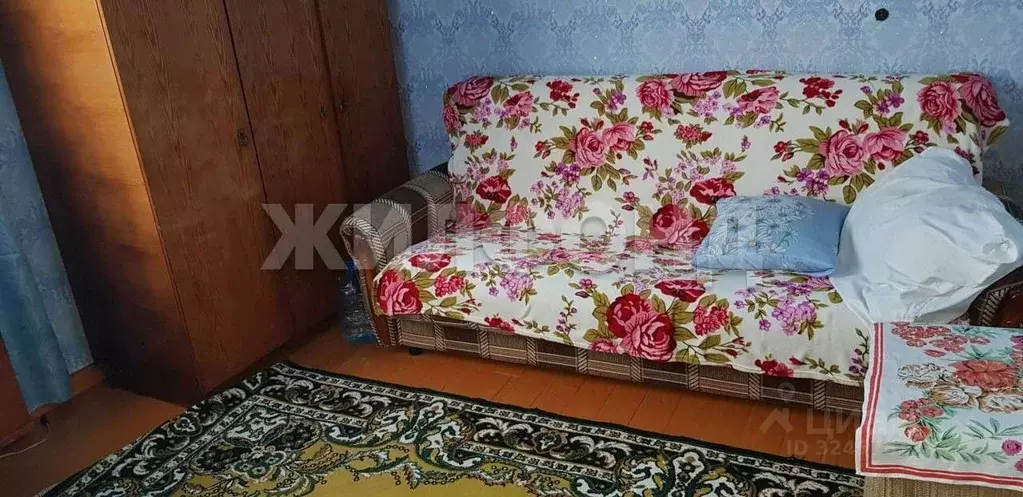 3-к кв. Новосибирская область, Тогучинский район, с. Кудельный Ключ ... - Фото 2