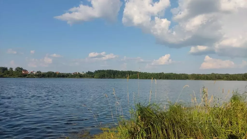 Участок в Московская область, Богородский городской округ, д. Стулово  ... - Фото 2