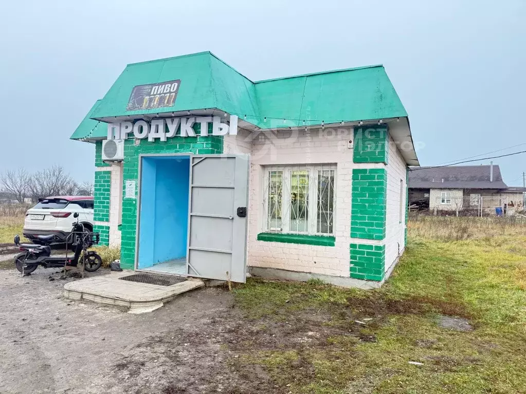 Помещение свободного назначения в Воронежская область, Новоусманский ... - Фото 1