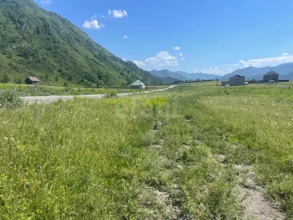 Участок в Алтай, Чемальский район, с. Чемал ул. Ч.А. Чунижекова, 11 ... - Фото 1