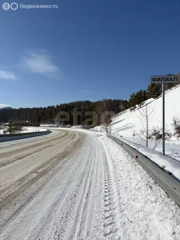 Участок в Майминский район, посёлок Филиал, улица Коммунаров (10 м) - Фото 1