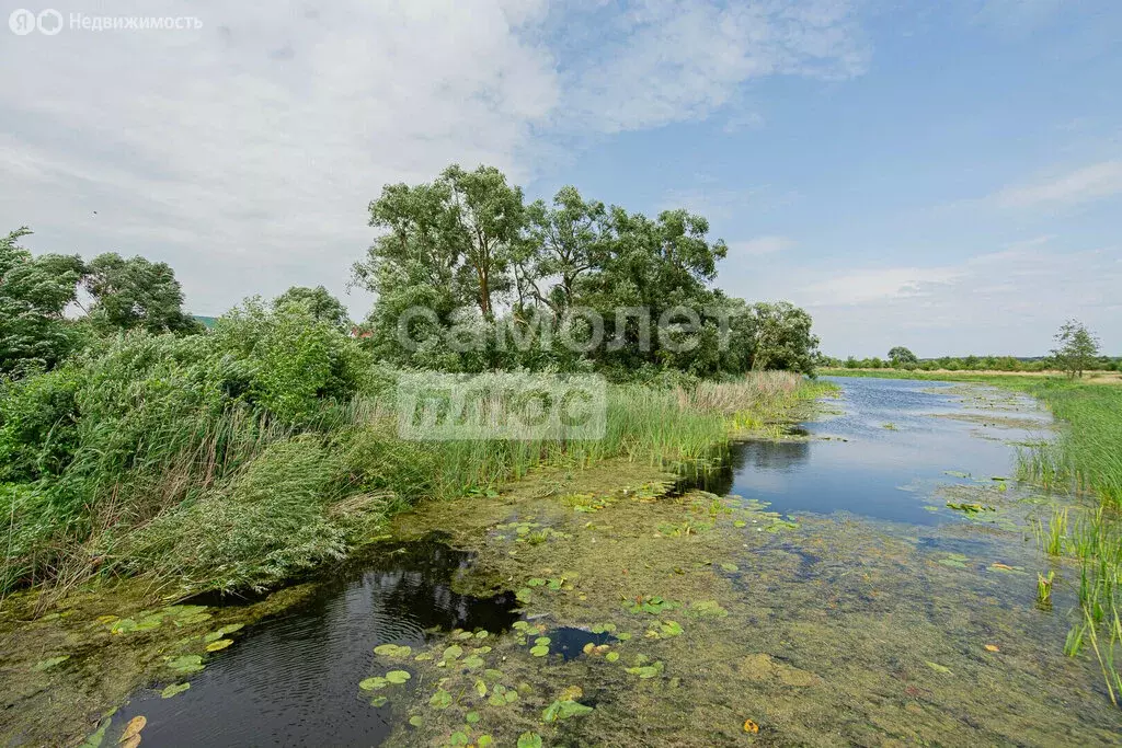 Участок в село Доброе, улица Калинина, 141 (19.6 м) - Фото 2